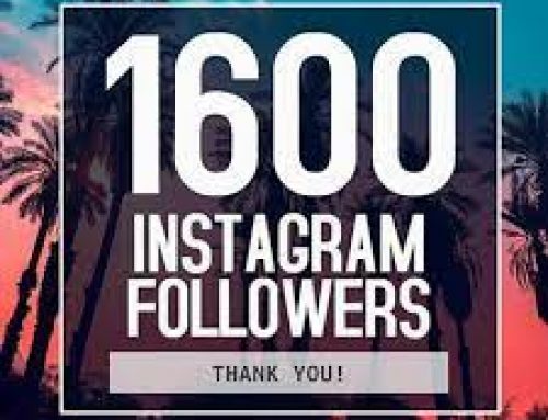 Danke an 1.663 Instagram Followers