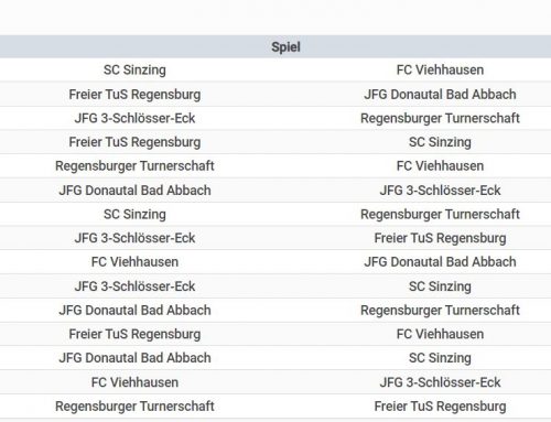 D2 siegt beim Hallenturnier in Sinzing